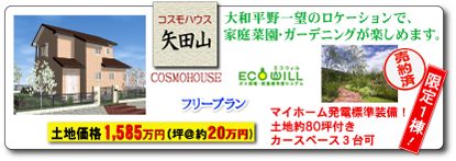 コスモハウス矢田山 限定1棟